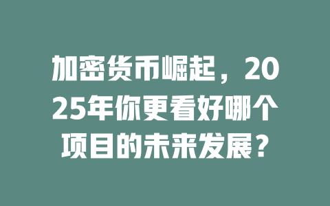加密货币崛起,2025年你更看好哪个项目的未来发展? 一