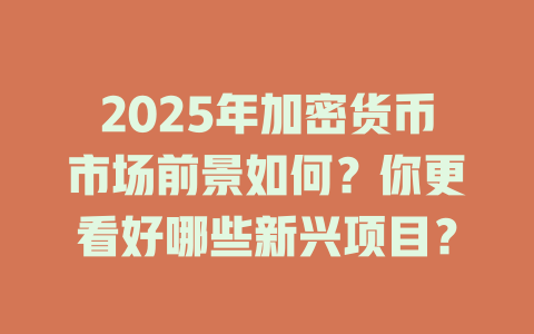 2025年加密货币市场前景如何?你更看好哪些新兴项目? 一