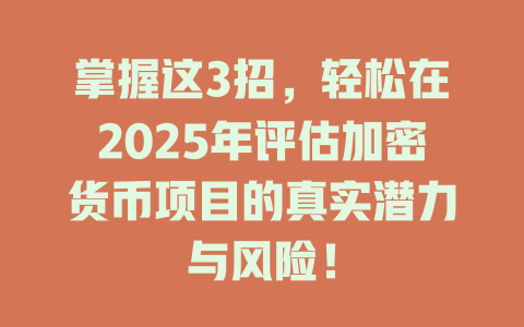 掌握这3招,轻松在2025年评估加密货币项目的真实潜力与风险! 一
