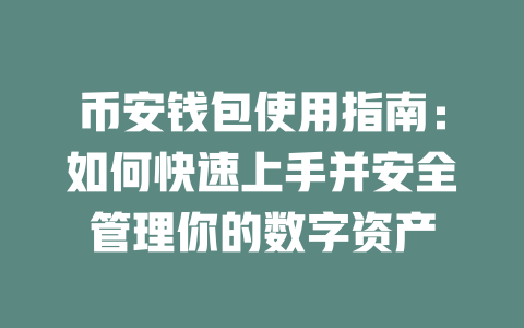 币安钱包使用指南:如何快速上手并安全管理你的数字资产 一