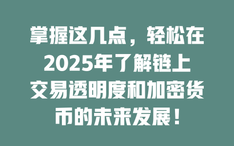 掌握这几点,轻松在2025年了解链上交易透明度和加密货币的未来发展! 一