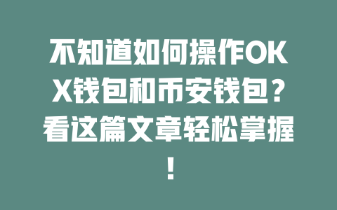 不知道如何操作OKX钱包和币安钱包?看这篇文章轻松掌握! 一