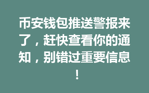 币安钱包推送警报来了,赶快查看你的通知,别错过重要信息! 一