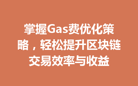 掌握Gas费优化策略，轻松提升区块链交易效率与收益 一