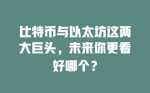比特币与以太坊这两大巨头，未来你更看好哪个？ 一