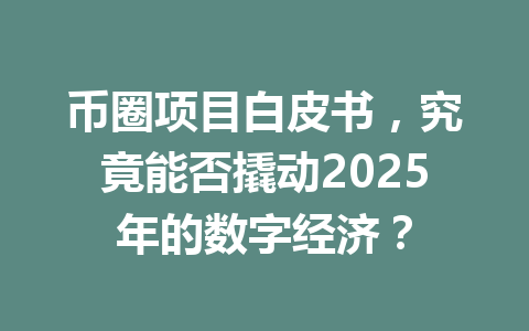 币圈项目白皮书，究竟能否撬动2025年的数字经济？ 一