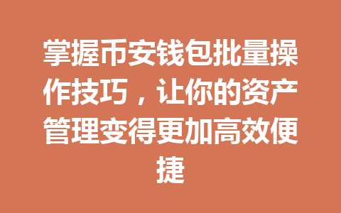 掌握币安钱包批量操作技巧，让你的资产管理变得更加高效便捷 一