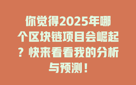 你觉得2025年哪个区块链项目会崛起?快来看看我的分析与预测! 一