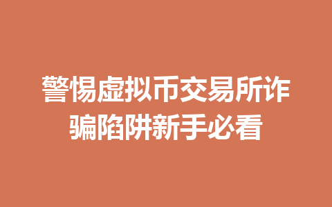 警惕虚拟币交易所诈骗陷阱新手必看 一