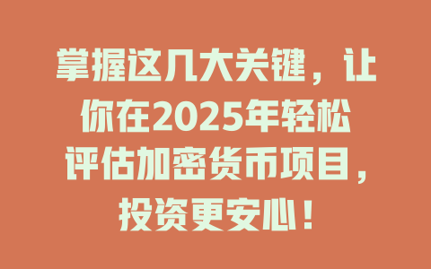 掌握这几大关键，让你在2025年轻松评估加密货币项目，投资更安心！ 一