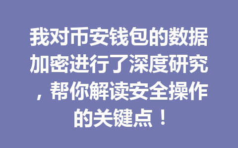 我对币安钱包的数据加密进行了深度研究，帮你解读安全操作的关键点！ 一