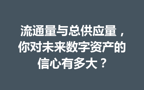 流通量与总供应量,你对未来数字资产的信心有多大? 一