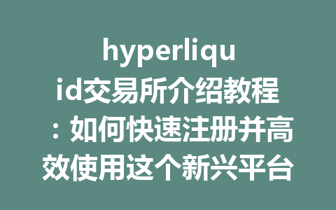 hyperliquid交易所介绍教程：如何快速注册并高效使用这个新兴平台 一