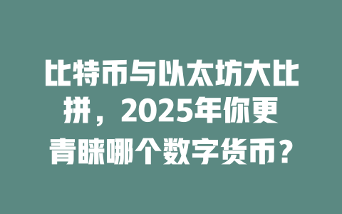 比特币与以太坊大比拼，2025年你更青睐哪个数字货币？ 一