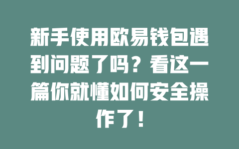 新手使用欧易钱包遇到问题了吗？看这一篇你就懂如何安全操作了！ 一
