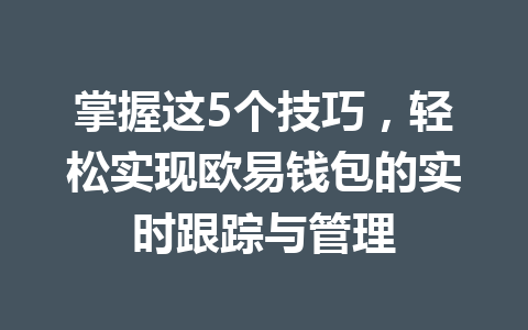 掌握这5个技巧，轻松实现欧易钱包的实时跟踪与管理 一