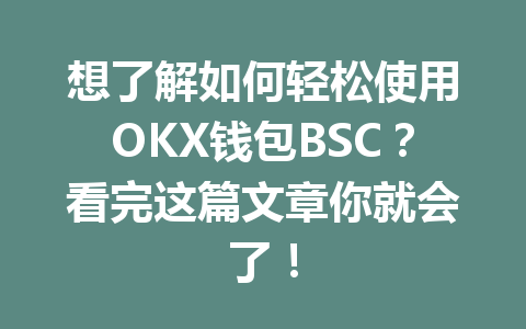 想了解如何轻松使用OKX钱包BSC?看完这篇文章你就会了! 一