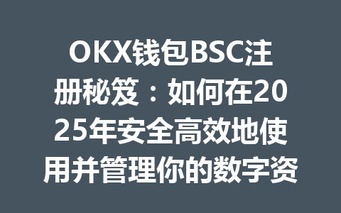 OKX钱包BSC注册秘笈：如何在2025年安全高效地使用并管理你的数字资产 一