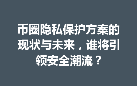 币圈隐私保护方案的现状与未来,谁将引领安全潮流? 一