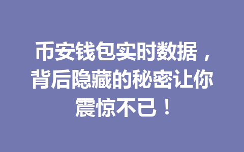 币安钱包实时数据,背后隐藏的秘密让你震惊不已! 一