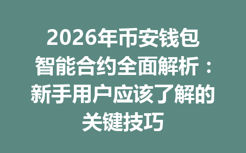 2026年币安钱包智能合约全面解析：新手用户应该了解的关键技巧 一