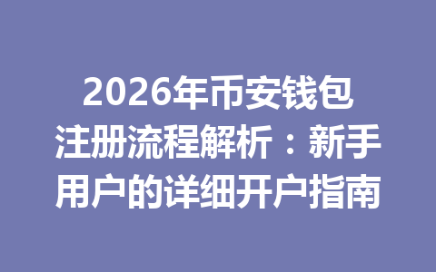 2026年币安钱包注册流程解析:新手用户的详细开户指南 一