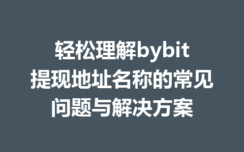 轻松理解bybit提现地址名称的常见问题与解决方案 一
