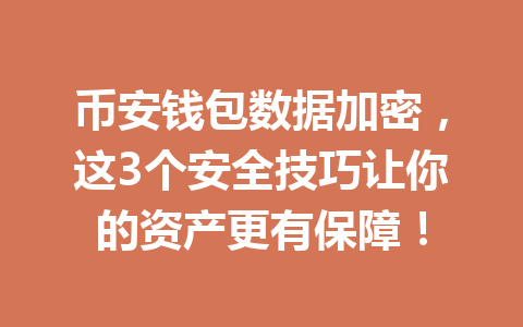 币安钱包数据加密，这3个安全技巧让你的资产更有保障！ 一
