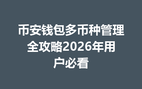 币安钱包多币种管理全攻略2026年用户必看 一