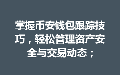 掌握币安钱包跟踪技巧,轻松管理资产安全与交易动态; 一