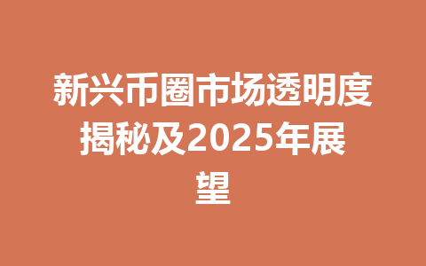 新兴币圈市场透明度揭秘及2025年展望 一