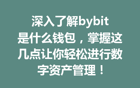 深入了解bybit是什么钱包，掌握这几点让你轻松进行数字资产管理！ 一