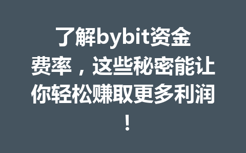 了解bybit资金费率，这些秘密能让你轻松赚取更多利润！ 一