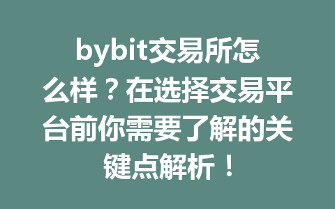bybit交易所怎么样?在选择交易平台前你需要了解的关键点解析! 一