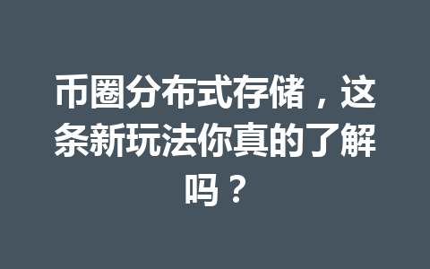 币圈分布式存储，这条新玩法你真的了解吗？ 一