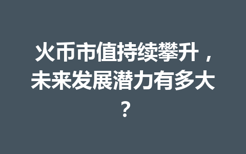 火币市值持续攀升，未来发展潜力有多大？ 一