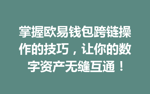 掌握欧易钱包跨链操作的技巧,让你的数字资产无缝互通! 一
