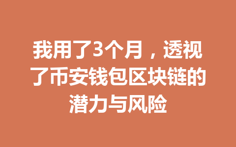 我用了3个月，透视了币安钱包区块链的潜力与风险 一