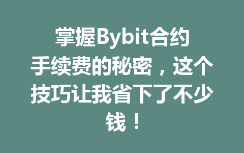 掌握Bybit合约手续费的秘密,这个技巧让我省下了不少钱! 一