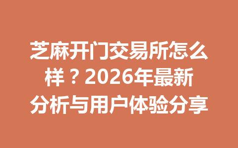 芝麻开门交易所怎么样？2026年最新分析与用户体验分享 一