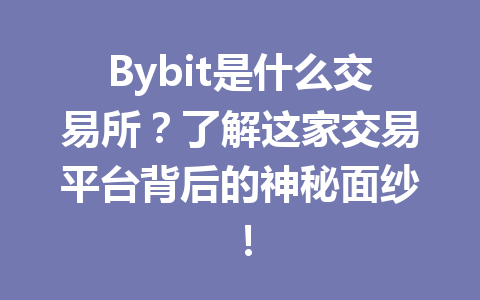 Bybit是什么交易所?了解这家交易平台背后的神秘面纱! 一