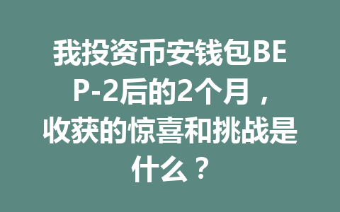 我投资币安钱包BEP-2后的2个月,收获的惊喜和挑战是什么? 一