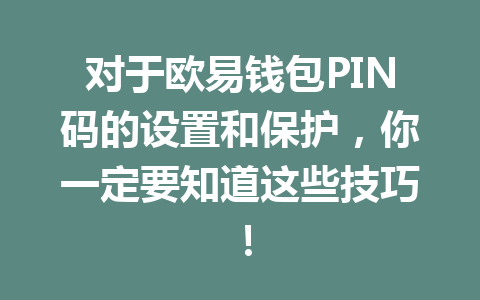 对于欧易钱包PIN码的设置和保护,你一定要知道这些技巧! 一