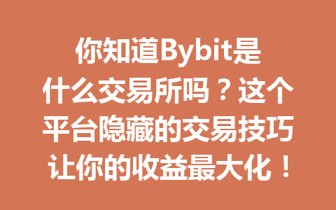 你知道Bybit是什么交易所吗?这个平台隐藏的交易技巧让你的收益最大化! 一