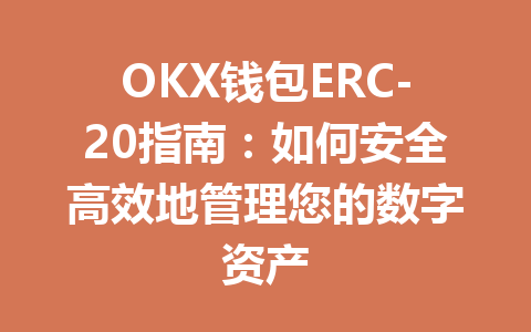 OKX钱包ERC-20指南:如何安全高效地管理您的数字资产 一