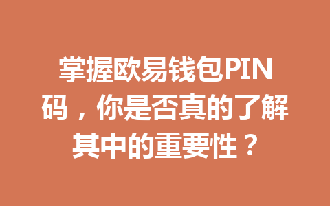 掌握欧易钱包PIN码,你是否真的了解其中的重要性? 一