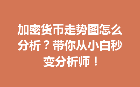 加密货币走势图怎么分析?带你从小白秒变分析师! 一