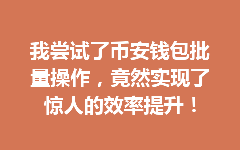 我尝试了币安钱包批量操作,竟然实现了惊人的效率提升! 一
