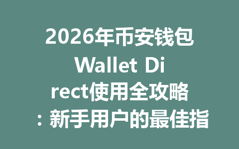 2026年币安钱包Wallet Direct使用全攻略：新手用户的最佳指南 一