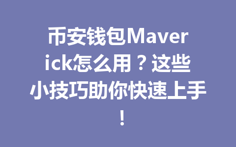 币安钱包Maverick怎么用?这些小技巧助你快速上手! 一